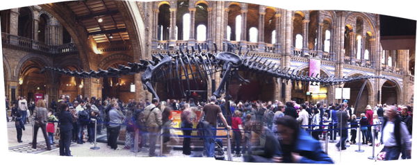 A Dinosaur
